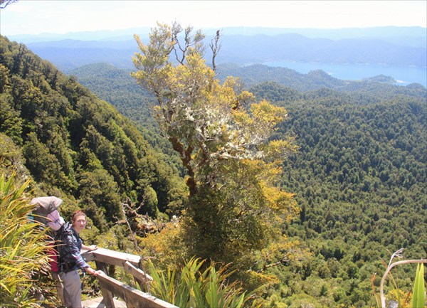 Панорама с трека вокруг озера Вакаремоана - Катя и Тая